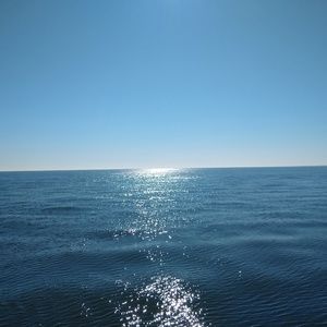 Meet your Posher, Shelby